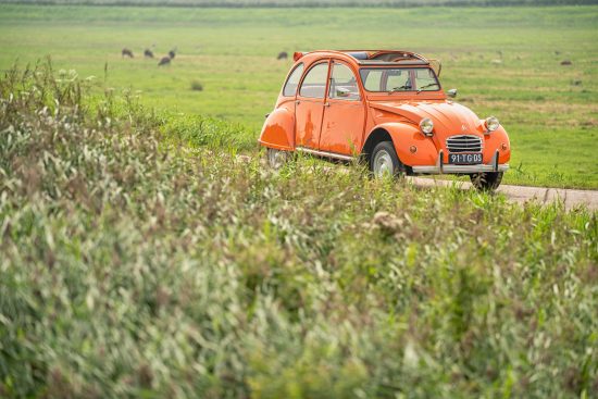 2cv6