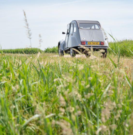 2cv6 Club '87 144.000k  Gris Cormoran 2cv Garage Sander Aalderink