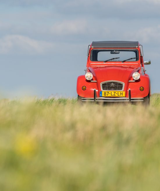 2cv6 Special '90 Rouge Vallelunga 6000km 2cv Garage Sander Aalderink