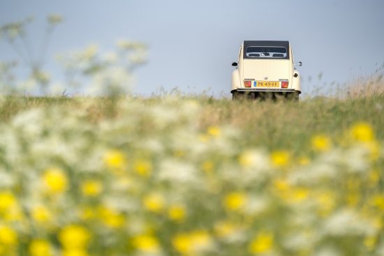 2cv6 Spécial '86 Jaune Rialto 42.000 km 2cvGarage Sander Aalderink
