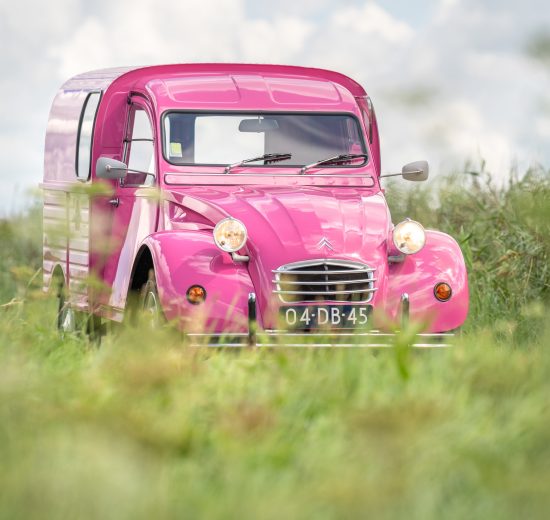 250 Pink '78 111.000km 2CV Garage Sander Aalderink